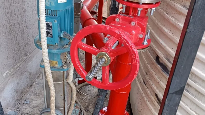 مشروع 31